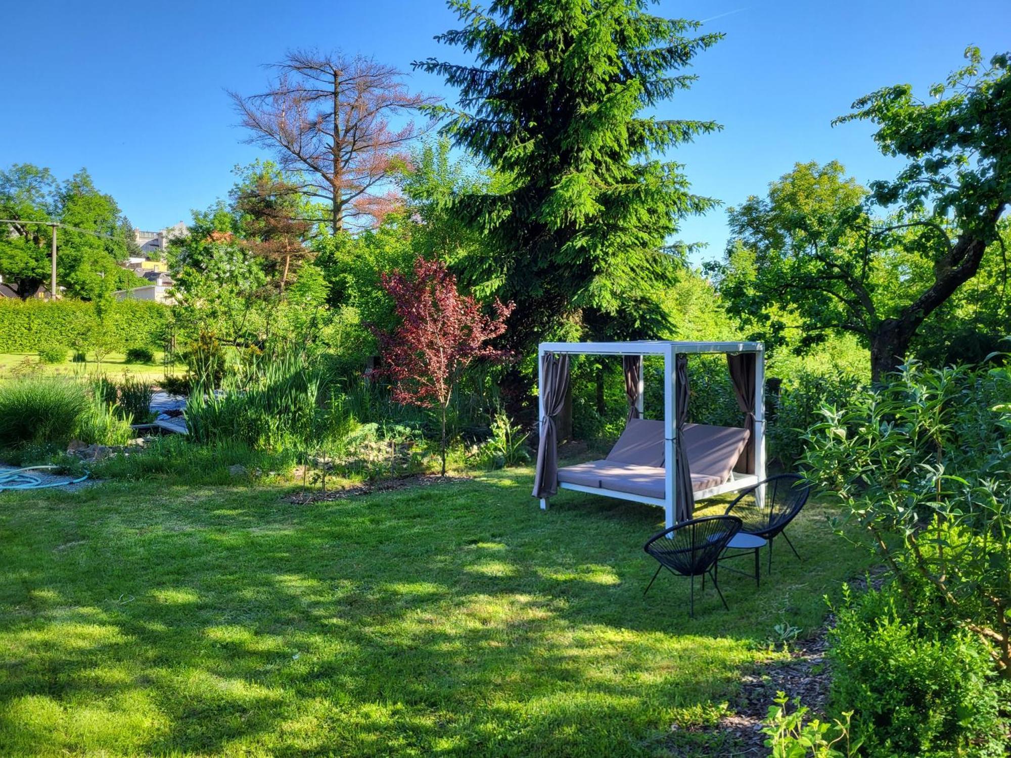 Apartman V Podzamci Rychnov nad Kneznou Exterior foto